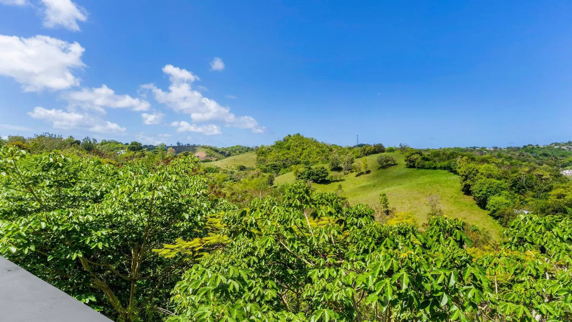 Вилла Tropical Paradise In Rincon Агуада